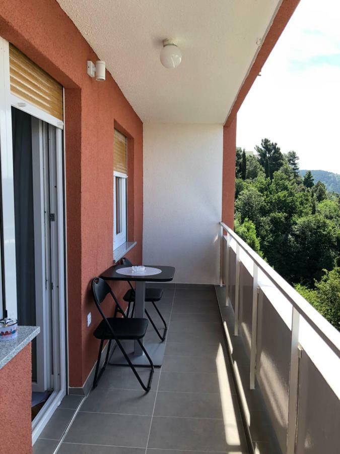 Appartement Danijela à Rijeka Extérieur photo